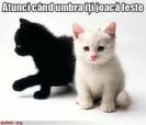 images (22)