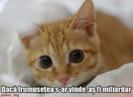 images (31)