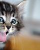 images (38)