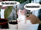images (39)