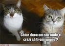 images (58)