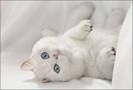 images (94)