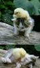 images (95)