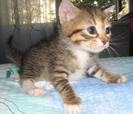 images (99)