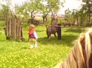 IMG0021A