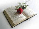 _Libro rosa