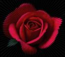 loverosetouching7pz.jpg_320_320_0_9223372036854775000_0_1_0