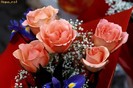 trandafiri_1240568200