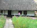 P1110903