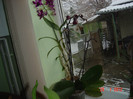 poze 754