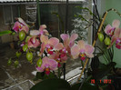 poze 749