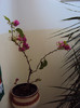 DSC04248