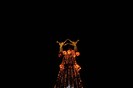 IMG_8868