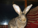 Picture 076