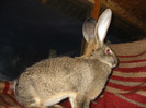 Picture 077