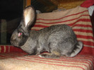 Picture 081