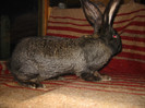 Picture 082