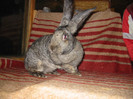Picture 086