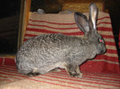 Picture 091