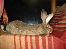 Picture 107