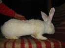 Picture 109