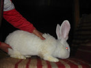 Picture 110