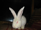 Picture 111