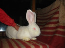 Picture 115
