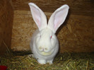 Picture 122