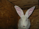 Picture 125