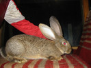 Picture 146