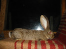 Picture 149