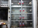 IMG_20120126_195943