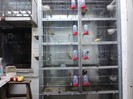 IMG_20120126_195936