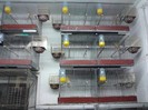 IMG_20120126_195842