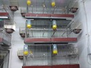 IMG_20120126_195831