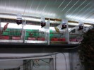 IMG_20120126_200448