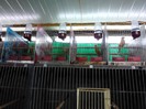 IMG_20120126_200434