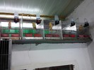 IMG_20120126_200422