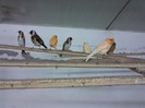 IMG_20120126_200127
