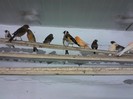 IMG_20120126_200118