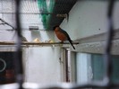 IMG_20120126_200015