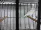 IMG_20120126_195328