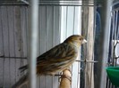 IMG_20120126_194712