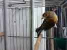 IMG_20120126_194655