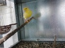 IMG_20120124_204312