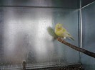 IMG_20120124_204240