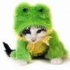 imagesCA2IQWJV