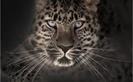 imagesCAAWIQ9R