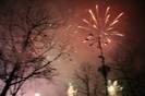 IMG_9010